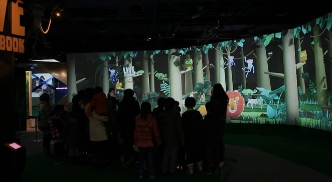 Immersive Video Room